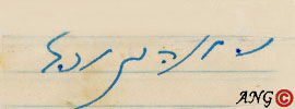 חתימה של זלמן ארן