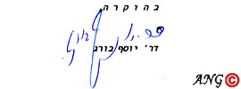 חתימה של יוסף בורג